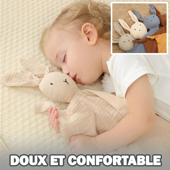 Lapin Lapidou Doudou